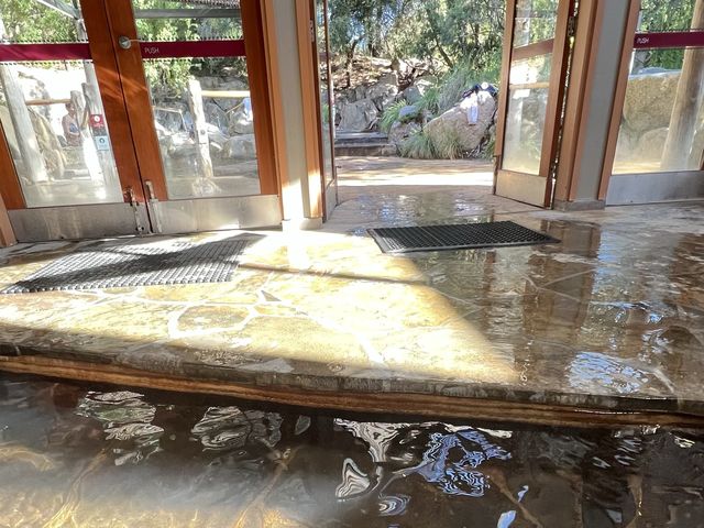 Peninsula Hot Spring ♨️