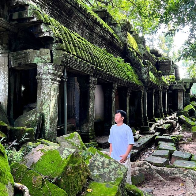 Ta Prohm: Jungle temple enveloped by nature