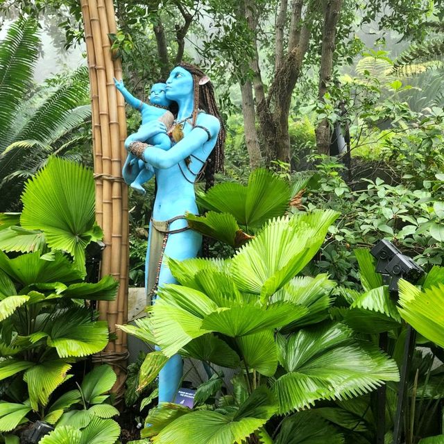 Cloud Forest Avatar