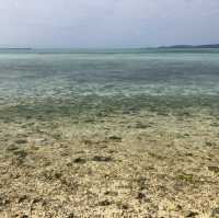 【沖縄】離島で見つけた星砂の浜