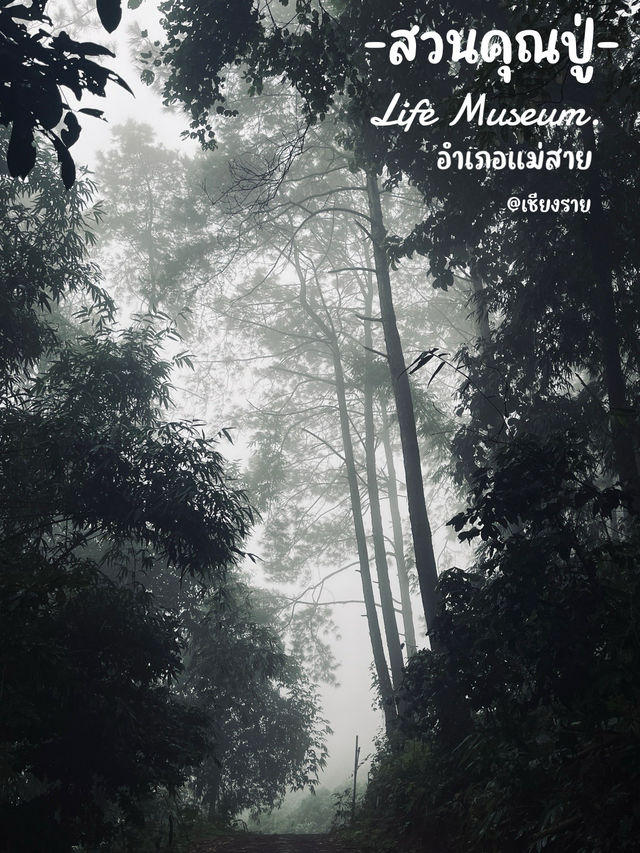 คาเฟ่…บนดอย สวนคุณปู่ Life Museum