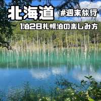 【北海道】1泊2日忙しい大人の週末旅行✈️