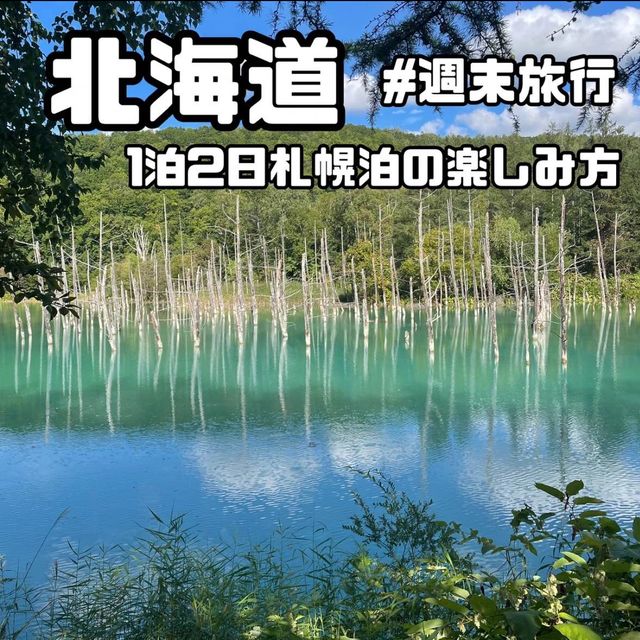 【北海道】1泊2日忙しい大人の週末旅行✈️