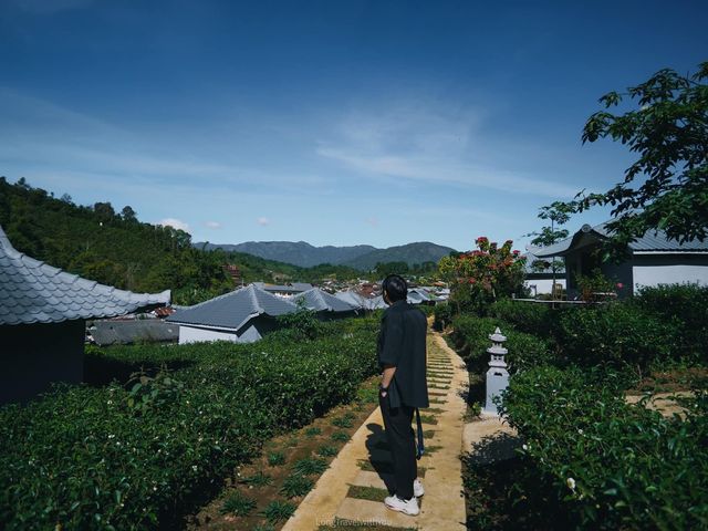 พักผ่อนสบายๆในไร่ชา ณ บ้านรักไทย