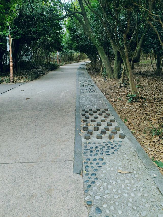 동백섬 오동도 💐