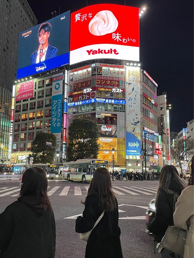 시부야 스크램블 교차로✨