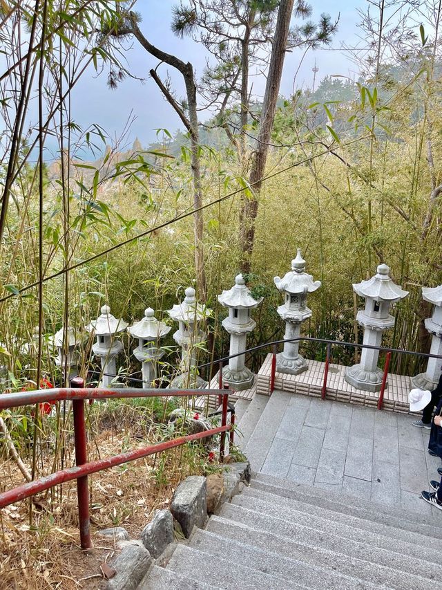 부산 기장 해동용궁사 부산여행에 꼭 넣으세요❣️