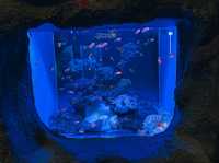 ท่องเที่ยวกับโลกใต้ท้องทะเล Underwater World ญาจาง