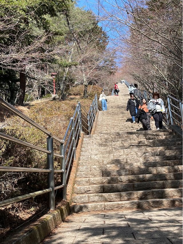 🇯🇵🗻富士山必打卡點📸新倉富士淺間神社⛩️