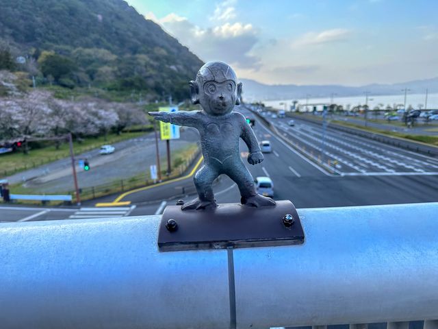 野生のサルを間近で見られる高崎山🐒