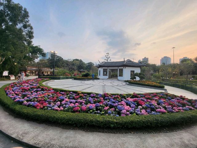 環境清幽的北區公園