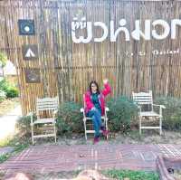 ผาหมอกมิวาย กับบรรยากาศที่สวย
