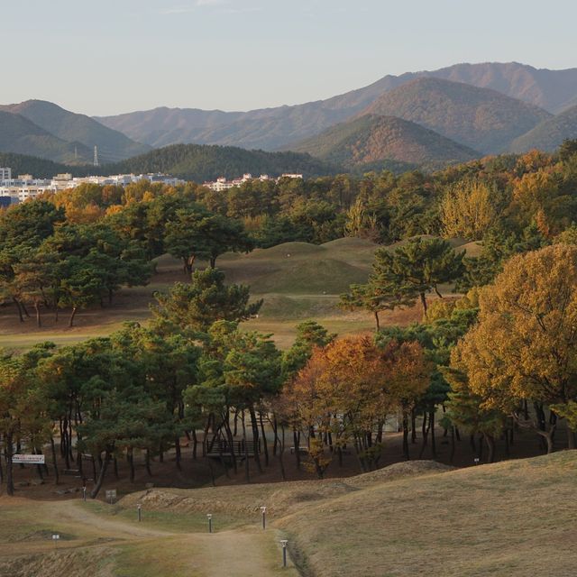 대구사람들도 잘 모르는 피크닉명소!