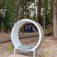 Island camping 