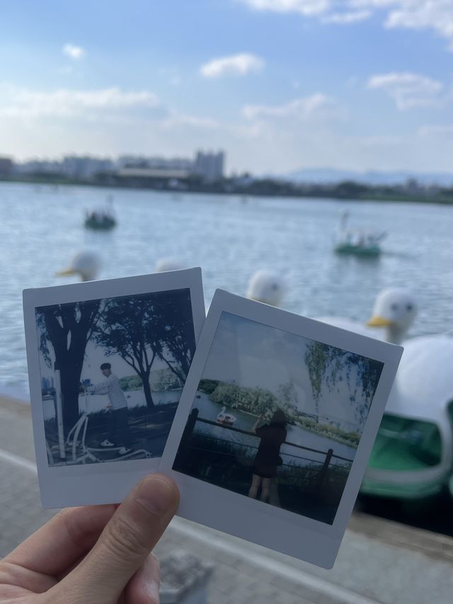 대구 수성못에서 오리배 타면서 피크닉 기분 느끼기💖