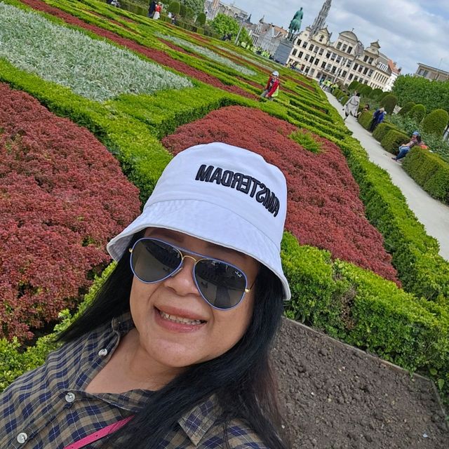 Art hill กลางเมืองบรัสเซล