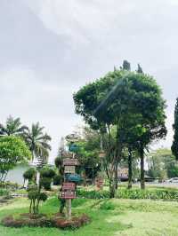 【インドネシア】茶畑で癒される “Keboen Teh Lawang”