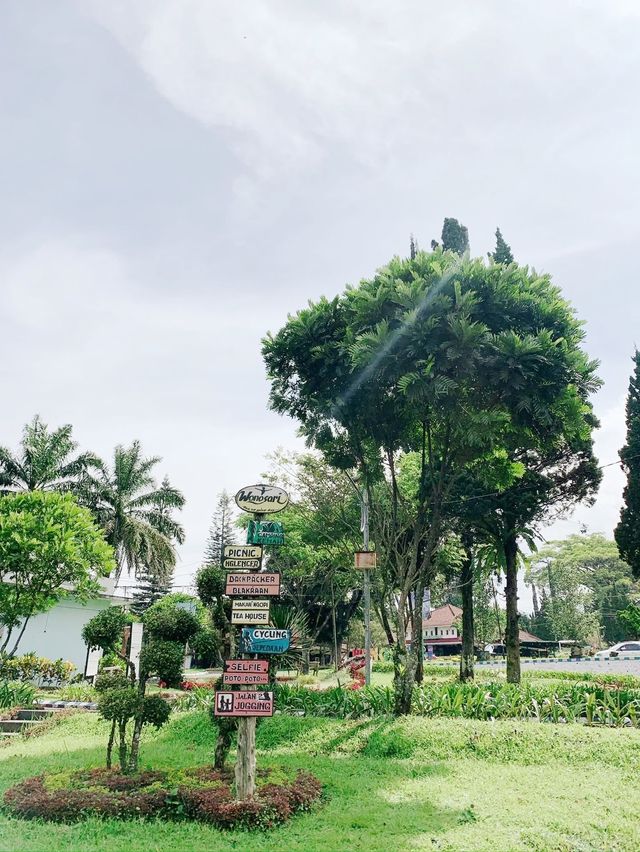 【インドネシア】茶畑で癒される “Keboen Teh Lawang”