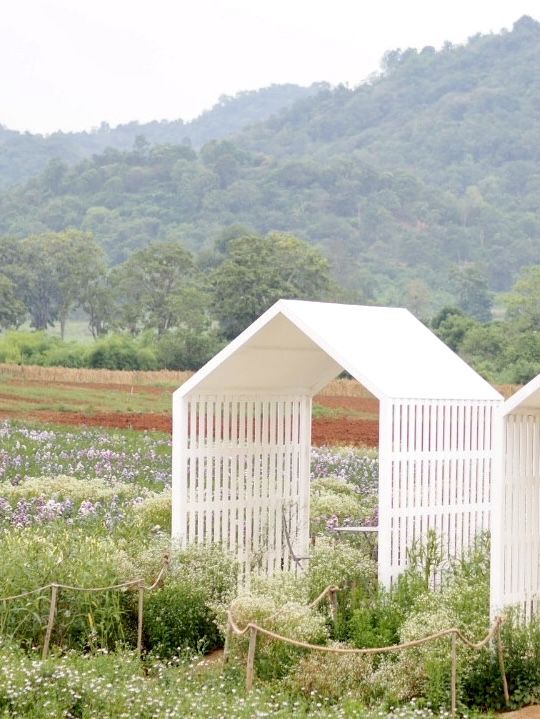 🌼คาเฟ่ในสวนดอกไม้ 🍃นาทีนี้ยกให้ ‘Blossom bloom’ 