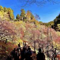 大縣神社