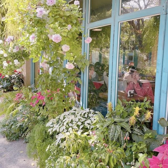 花院子 🖌 彷彿在溫室內喝下午茶