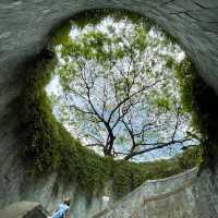 The Instagrammable Fort Canning Park