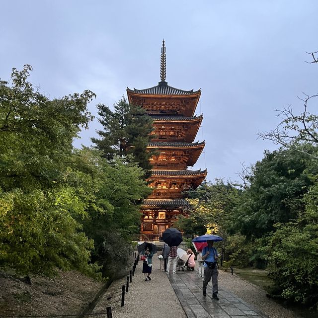 【京都】世界遺産のお寺でライトアップ✨