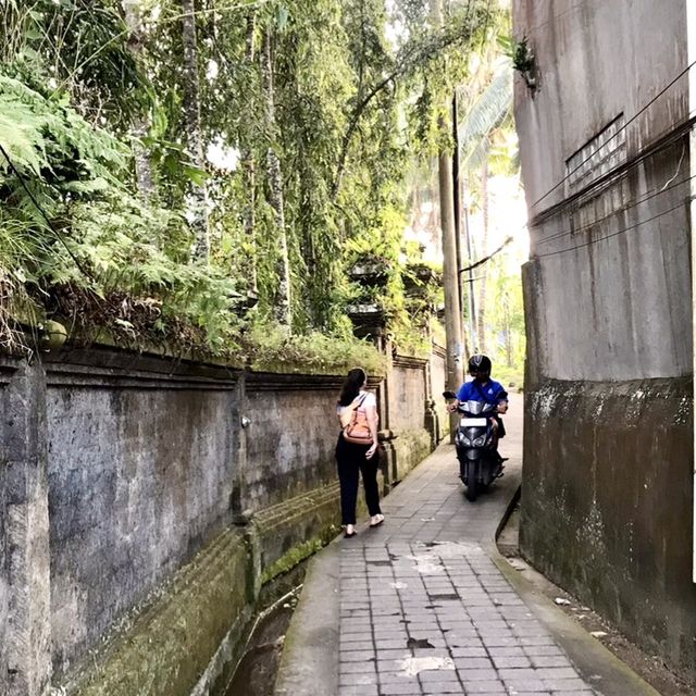 Hidden Place of Paradise in Ubud