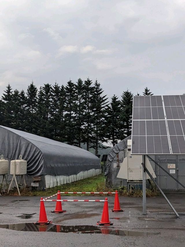 【北海道しいたけ直売所】清田しいたけファーム