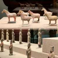 深圳看展~花月醉雕鞍~盛世大唐金鄉縣主展