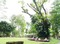 Assana Cafe Khaoyai 