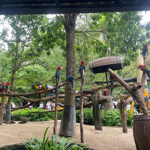 🇹🇭泰國曼谷| Safari World親子遊好去處