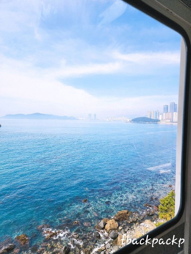 วันที่ 3 Sky Capsule และเมือง Cheongsapo 🚃