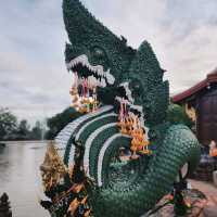 วัดป่าคลอง​ 11