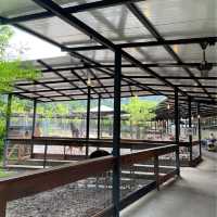 Langkawi Wildlife Park
