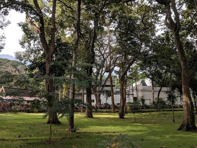 Huai Kaeo Arboretum
