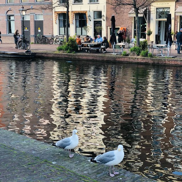 荷蘭🇳🇱萊頓市中心河岸景色🚤🛶