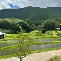 🌿🧘🏨 界─禪意與自然🌿🧘🏨