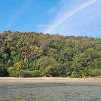 Clean sandy beach with sea creatures