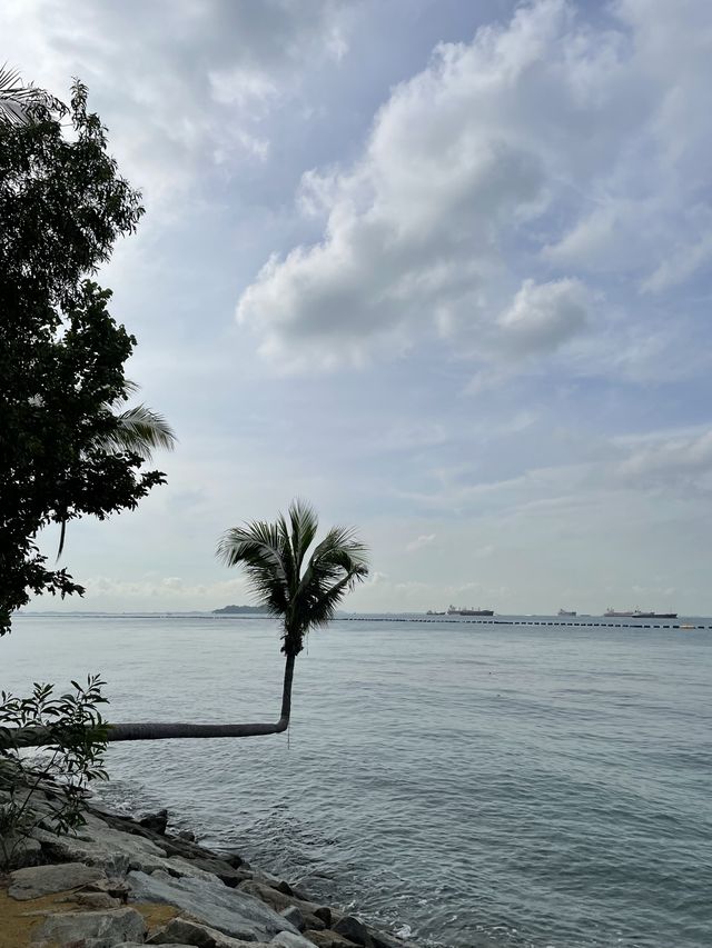 Palawan Beach-Great picnic spot in Sentosa🏝️