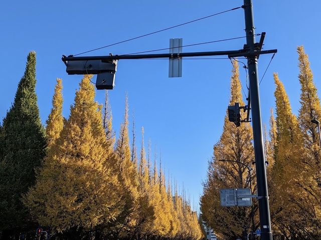 Autumn In Tokyo