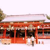 Exploring Nikko World Heritage in Japan