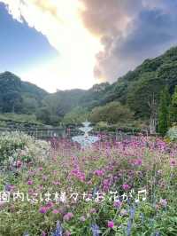 熱海の絶景カフェスポット！アカオフォレスト