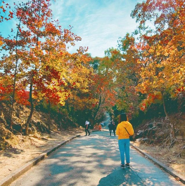 大棠千島湖(欣賞紅葉)
