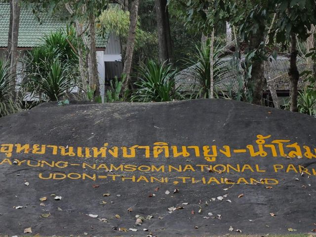 อุทยานแห่งชาตินายูงน้ำโสม