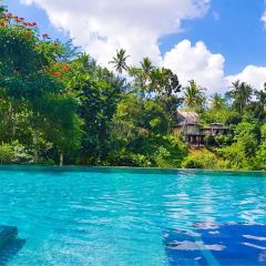 Jungle Fish Pool Bar Nutzerfoto