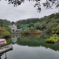 媲美動物園的台灣山豬城