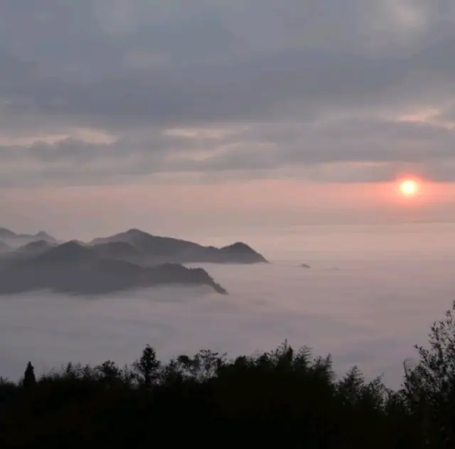 Beautiful sea of clouds and sunset on Alishan
