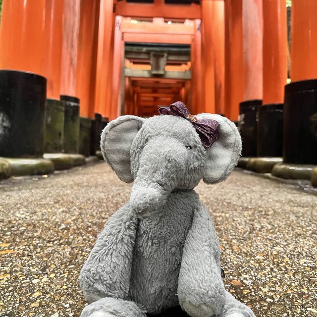 Mysterious Fushimi Shrine Inari shrine.