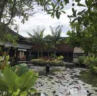 🪷荷花池中的泰日fusion樹屋餐廳🌳 